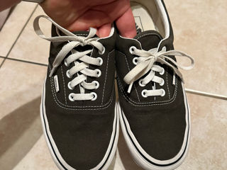 Vans      Nata foto 3