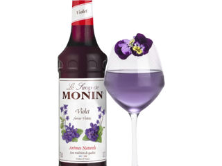 Sirop Violette Viola Flori De Primăvară Monin,1000 Ml Livrare Moldova