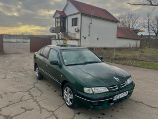 Nissan Primera foto 4