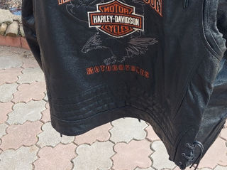 Harley - Davidson Iron  883  .сказка foto 8