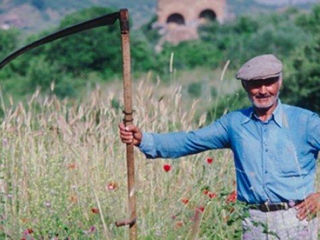 Cosim iarba, tăiem copaci foto 5