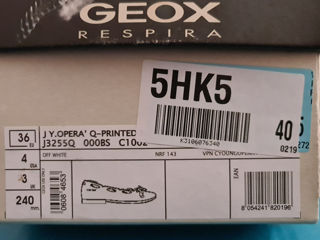 Geox 36 foto 9