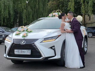 Auto pentru nunta - Авто на свадьбу Бельцы