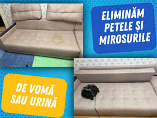 Curățare Chimică canapele/ saltele / scaune foto 5