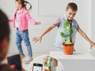 Игрушка танцующий кактус повторюшка говорящий USB/ foto 7