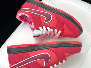 Nike SB Dunk Lobster Red Women's foto 4