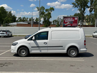 Volkswagen Caddy III - Chirie Auto Bălți. аренда авто. foto 1