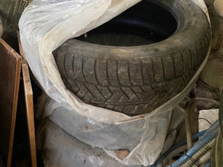 223/55 R19  255/55 R19  ambele 1500lei foto 3