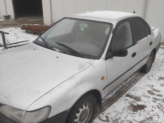 Toyota Corolla foto 2