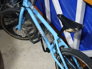 Bmx foto 4