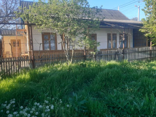 Casa cu gradina 11 ari in centrul sat. Puhoi plus bonus teren 36 ari / 30 km de Chișinău