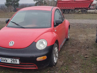 Volkswagen Beetle foto 3