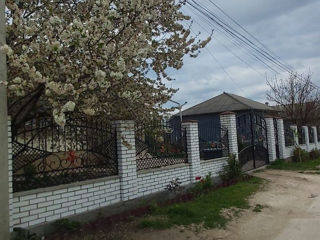 Продам дом в блези города Бельц (Корлотяны) foto 2