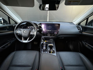 Lexus NX Series foto 10