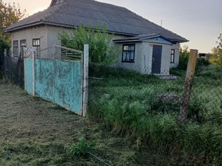 Продам дом в деревне фото 1