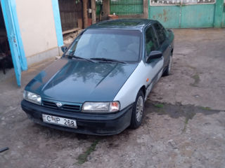 Nissan Primera foto 6