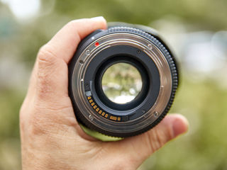 Canon 650D + Sigma 17-50mm f/2.8 foto 9