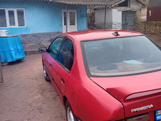 Nissan Primera foto 2