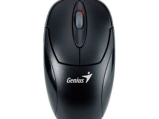 Mouse Genius Xscroll Optical Usb (Новая)  XScroll – это мышь, которая подходит как для правшей, так foto 4