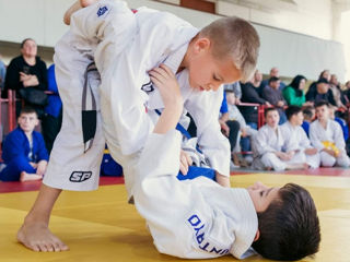 Jiu Jitsu foto 10