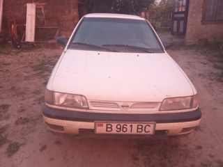 Nissan Sunny N14 2,0 d cd20 la piese foto 1