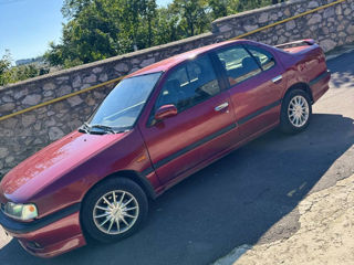 Nissan Primera foto 3