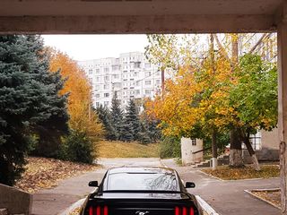 Ford Mustang foto 3