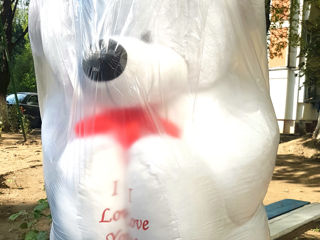Ursuleți gigant 170 cm cu I Love You. Livrarea gratuită în Chișinău. livrăm rapid toată Moldova. foto 20