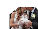 Decapotabile albe pentru nunti + porumbei albi foto 3