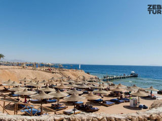 Egipt, Sharm El Sheikh - Amphoras Beach 5* foto 5