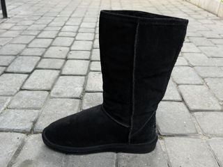 Bearpaw Emma Tall Boot. Размер 41. Оригинал. В идеальном состоянии. foto 8