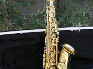 Saxofon Alto Trevor J.James & Co The Horn Revolution II foto 5