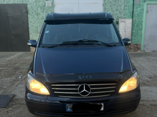 Mercedes Viano