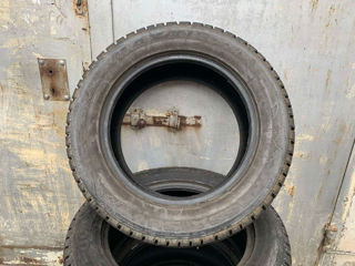 R19/55/275 Maxxis (Iarna) foto 6