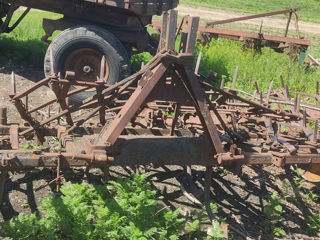 Cultivator foto 2