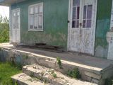 vând casă de locuit ieftin in satul Gribova foto 1