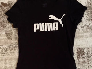 Tricou puma