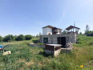 Teren agricol 83 ari cu casa noua in zona ecologica фото 8