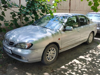 Nissan Primera foto 2