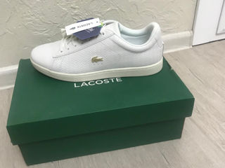 New Original Lacoste foto 2