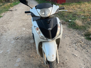 Honda Sh 150i 2010 foto 5