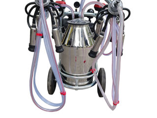 Aparat De Muls Vaci Vepemir (2Posturi Inox/1Bidon 40L. Inox) - 1m - livrare / credit / agroteh foto 3