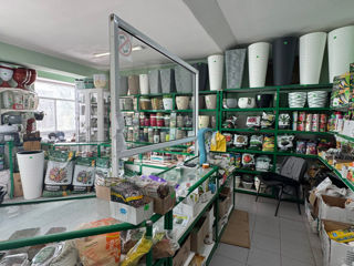 Clădire comercială de vânzare – Centru, Florești foto 4