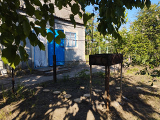 Дача для отдыха возле Днестровского лимана... foto 4
