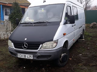 Mercedes Mercedes Benz413cdi foto 3