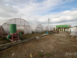 Spre vânzare teren agricol în s.Dobrogea!! foto 5