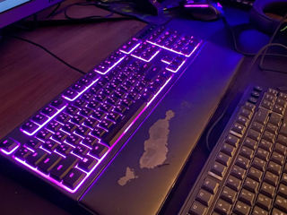 Razer Ornata Chroma foto 2