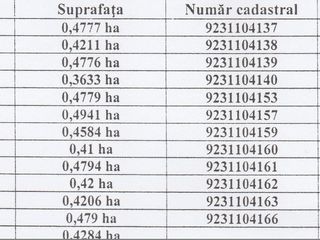 Teren agricol 92 Ha, r. Ungeni 1200 eur/ha foto 4