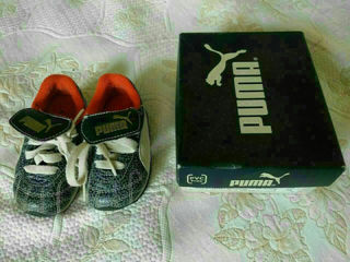 Puma foto 1