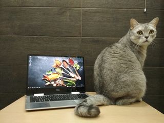Dell 2in1 Flip -13,3'' fullhd ips touch, quad-core i5-8265U, 8 gb ram, 256 gb ssd, подсветка
